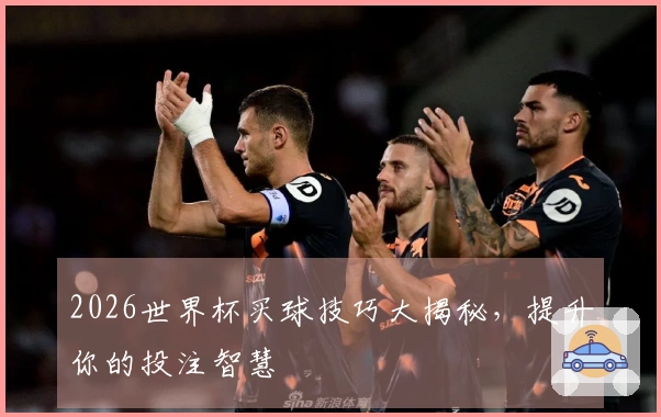 2026世界杯买球技巧大揭秘，提升你的投注智慧
