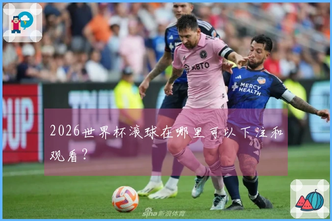 2026世界杯滚球在哪里可以下注和观看？