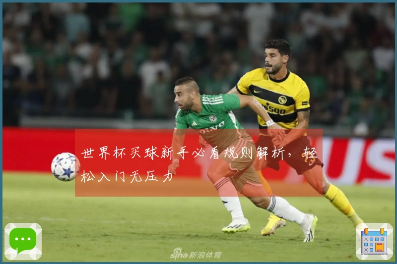 世界杯买球新手必看规则解析，轻松入门无压力