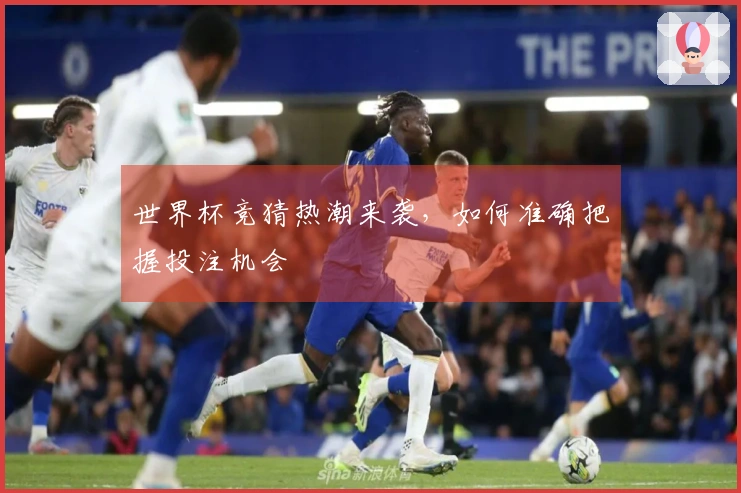世界杯竞猜热潮来袭，如何准确把握投注机会