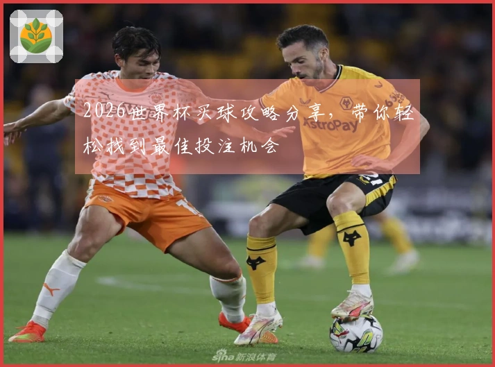 2026世界杯买球攻略分享，带你轻松找到最佳投注机会
