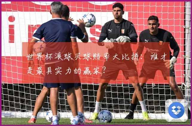 世界杯滚球买球赔率大比拼：谁才是最具实力的赢家？