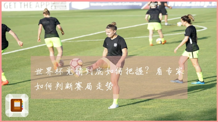 世界杯竞猜到底如何把握？看专家如何判断赛局走势