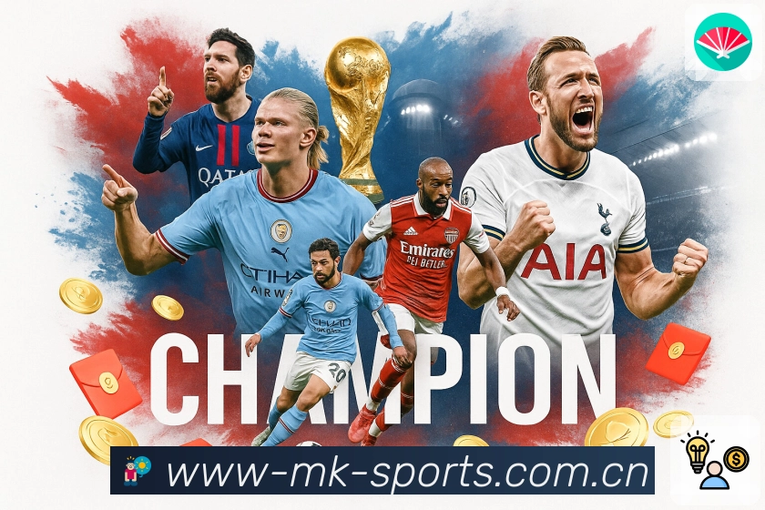 隐私保护流程示意